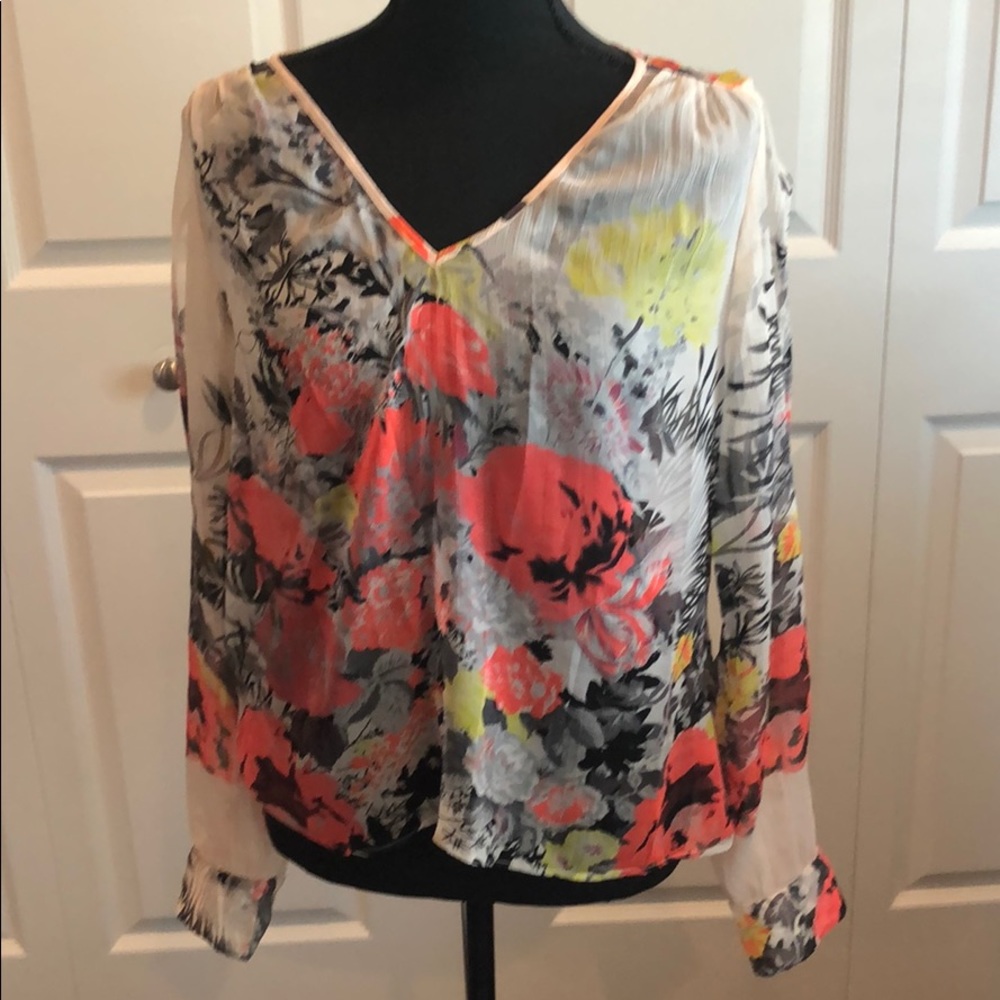 Sheer long sleeve blouse